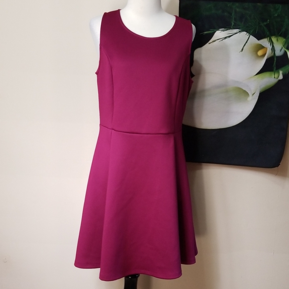 Forever 21 Sleeveless Skater Dress